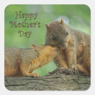 Happy Mother's Day - Mum and Baby Squirrel Square Sticker