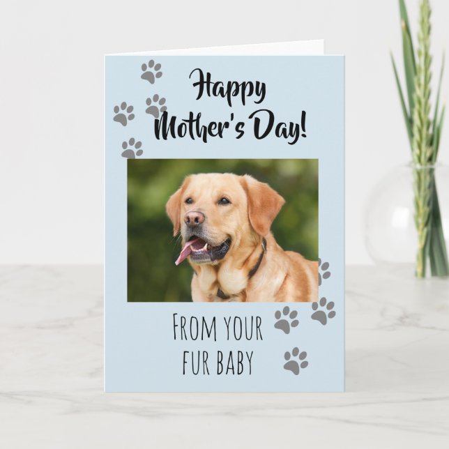 Happy Mother's day Photo Dog Cat Pet Fur Baby Card (Front)