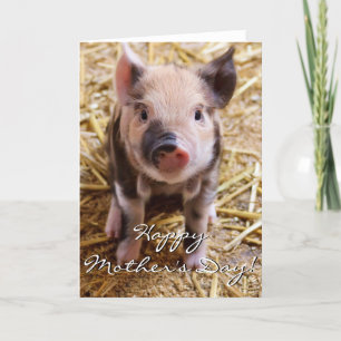 Happy Mother's Day Piglet greeting card