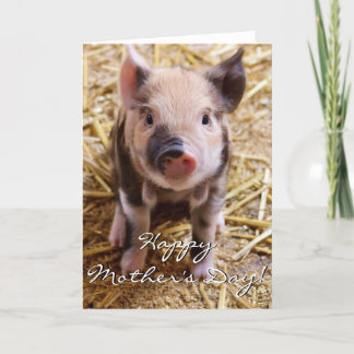 Happy Mother's Day Piglet greeting card