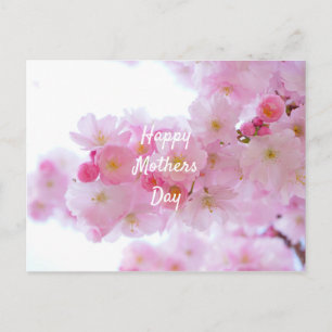 Happy Mothers Day Pink Cherry Tree Postcard