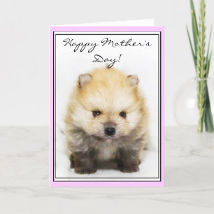 Happy Mother's Day Pomeranian puppy greeting card