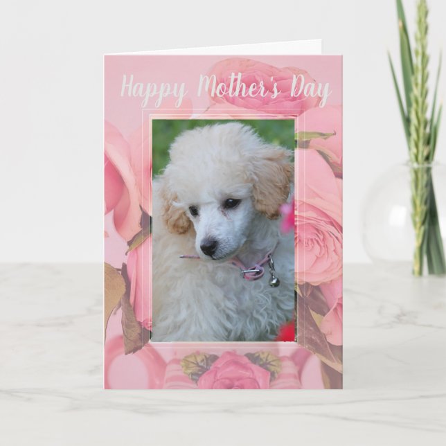 Happy Mother's Day poodle puppy greeting card (Front)