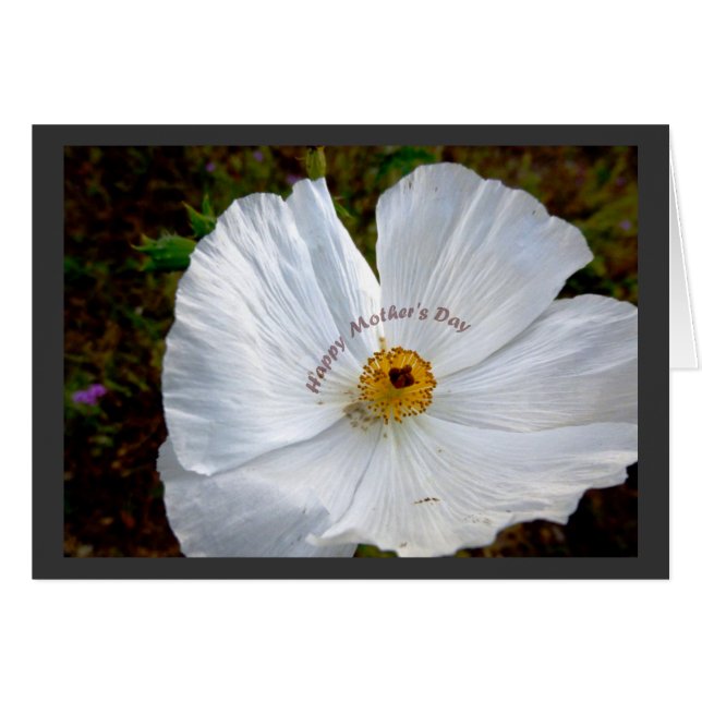 Happy Mother's Day Poppy Card (Front Horizontal)
