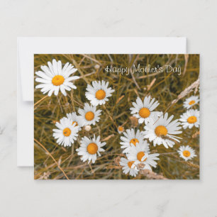 Happy Mother's Day Postcard