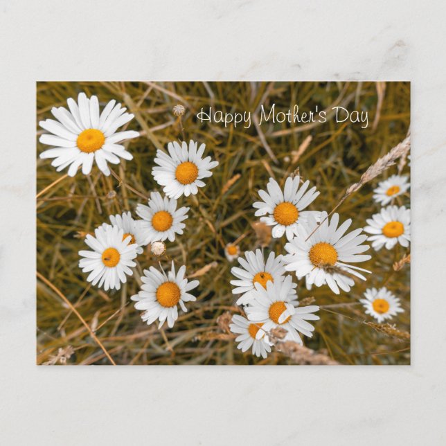 Happy Mother's Day Postcard (Front)