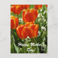 Happy Mother's Day