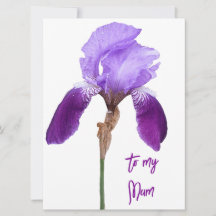 Happy Mother's Day pretty purple iris floral   