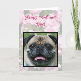 Happy Mother's Day Pug Dog Card