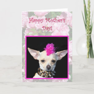 Happy Mother's Day Punk Chihuahua greeting card