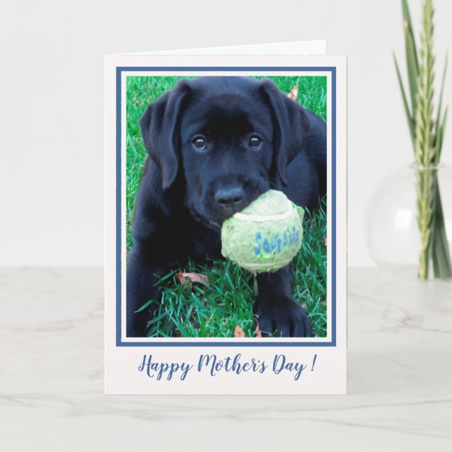 Happy Mother's Day Puppy Black Labrador - Cute Dog Card (Front)