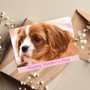 Happy Mother's Day Puppy CKCS Card