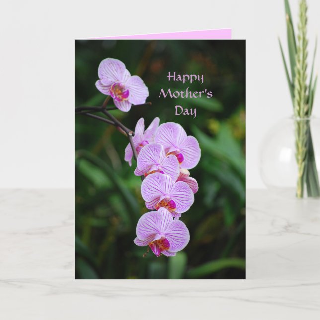 Happy Mother's Day Purple Phalaenopsis Orchid Card (Front)