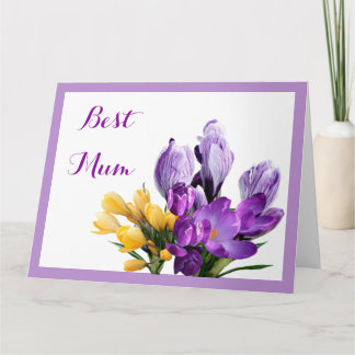 Happy Mother's Day purple yellow crocus floral fun Card