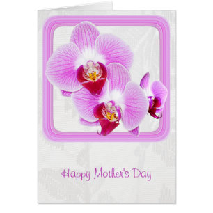 Happy Mother's Day, Radiant Orchid Closeup Photo