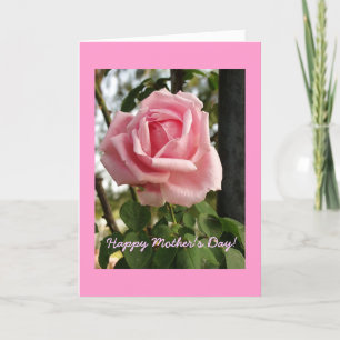 "Happy Mother's Day Rose" Card