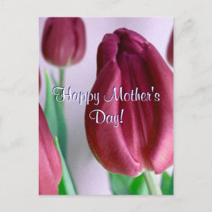 Happy Mother's Day Rosey Tulips Postcard