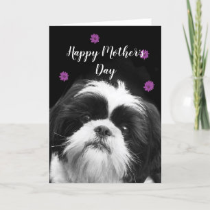 Happy Mother's Day Shih Tzu greeting card