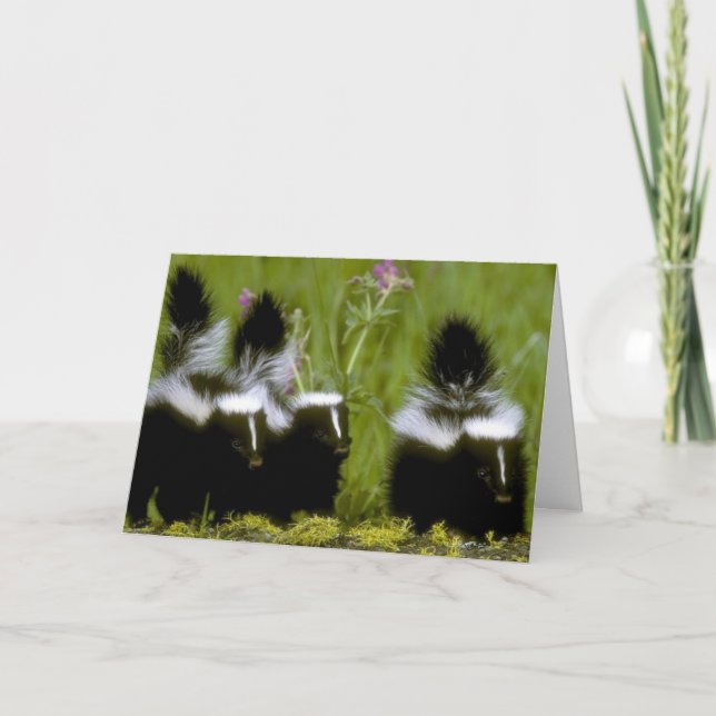 Happy Mother's day Skunk Card (Front)