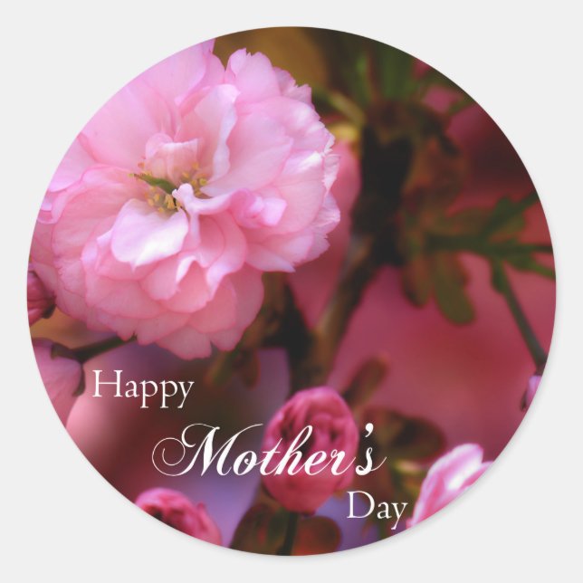 Happy Mothers Day Spring Pink Cherry Blossoms Classic Round Sticker (Front)