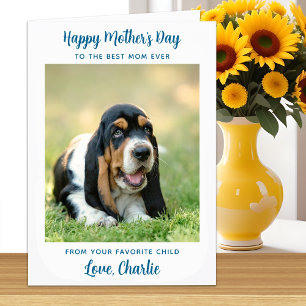 Happy Mother's Day - Teal Dog Photo Best Dog Mum Card
