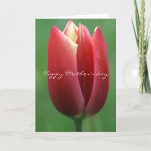 Happy Mother's day Thank You Card