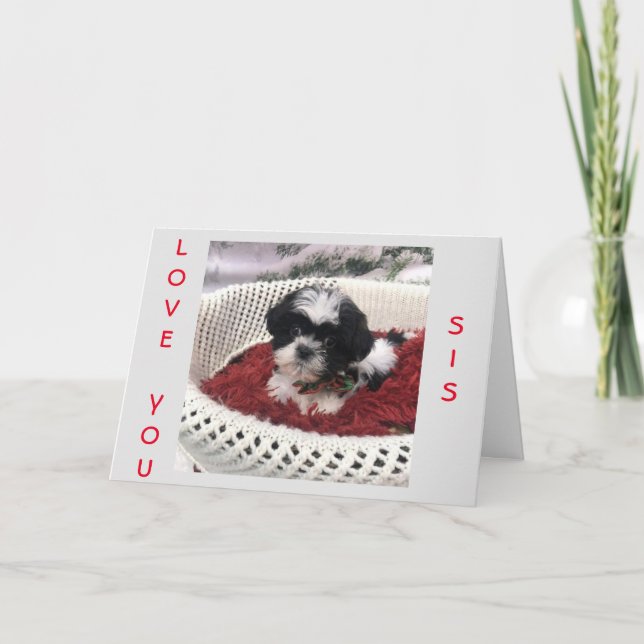 HAPPY *MOTHER'S DAY* TO A ****SPECIAL SISTER!**** CARD (Front)