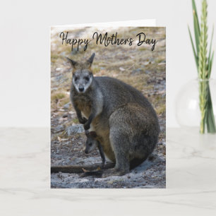 Happy Mother's Day Wallaby Baby Joey Card