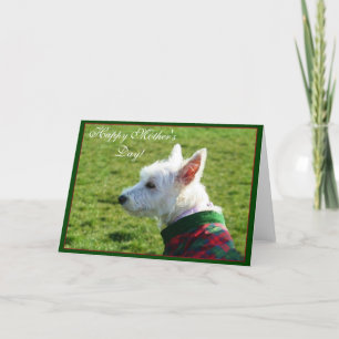 Happy Mother's Day Westie greeting card