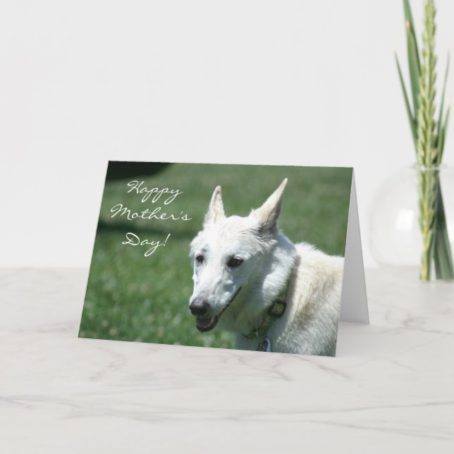 Happy Mother's Day White German Shepherd card (Front)