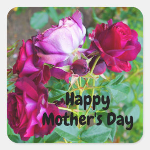 Happy Mother's Day Wild Blue Yonder #1 Stickers