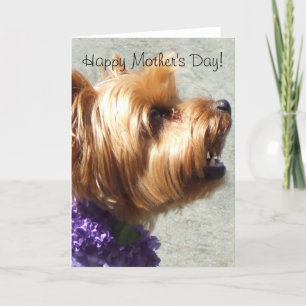 Happy Mother's Day Yorkshire Terrier Greeting Card