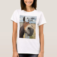 Happy mule has a big I WANT LOVE smile