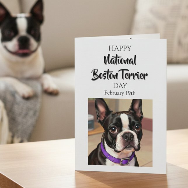 Happy National Boston Terrier Day | Feb 19th Card (Creator Uploaded)