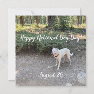 Happy National Dog Day!  Holiday Card