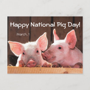 Happy National Pig Day! (March 1) Postcard