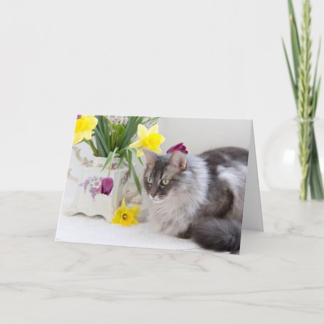 Happy National Siblings Day! Card (Front)