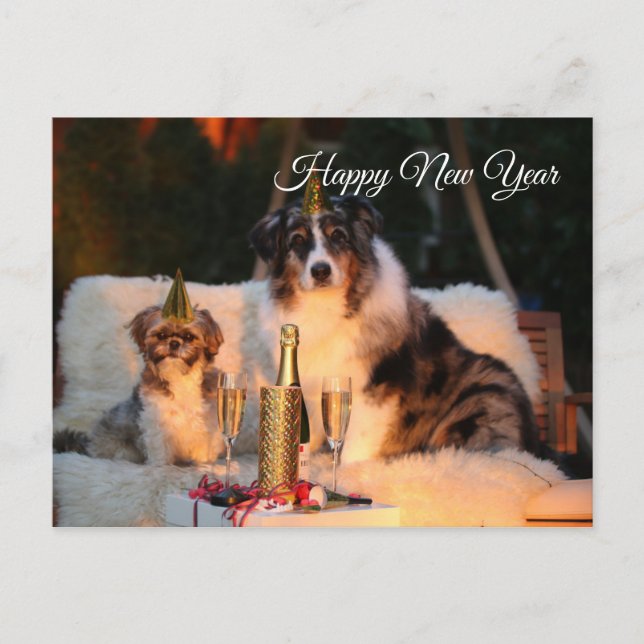 Happy New Year funny dogs with party hat Postcard (Front)