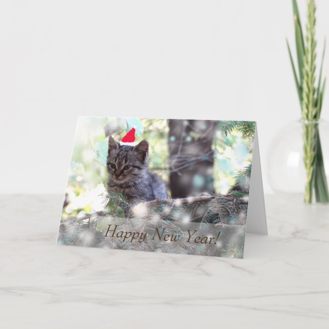 Happy New Year Greeting Card, Standard Kitten Holiday Card (Front)