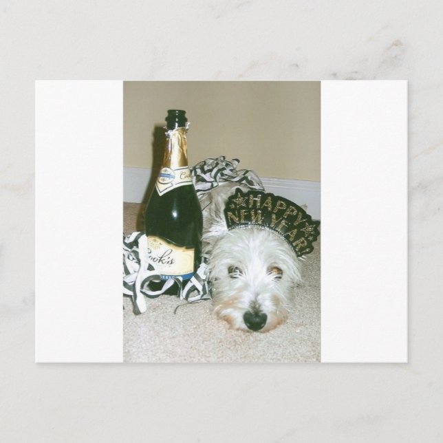 Happy New Year Holiday Postcard (Front)