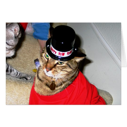Happy New Year Kitty Card