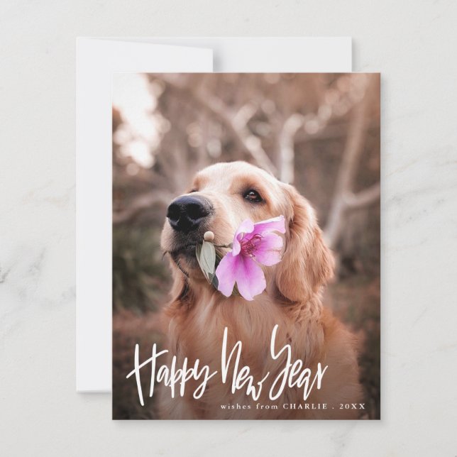 Happy New Year | Script Modern Dog Photo Holiday Card (Front)