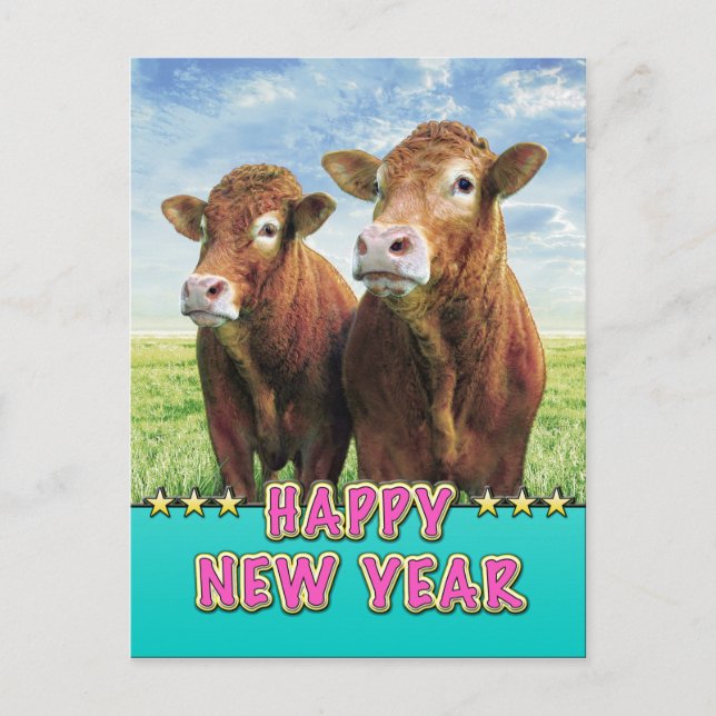 HAPPY NEW YEAR with the cow boys Holiday Postcard (Front)