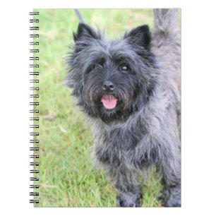 Happy Notebook
