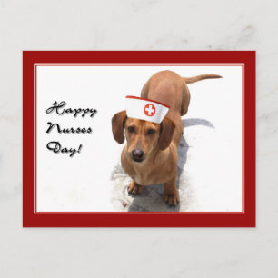 Happy Nurses Day Dachshund postcard