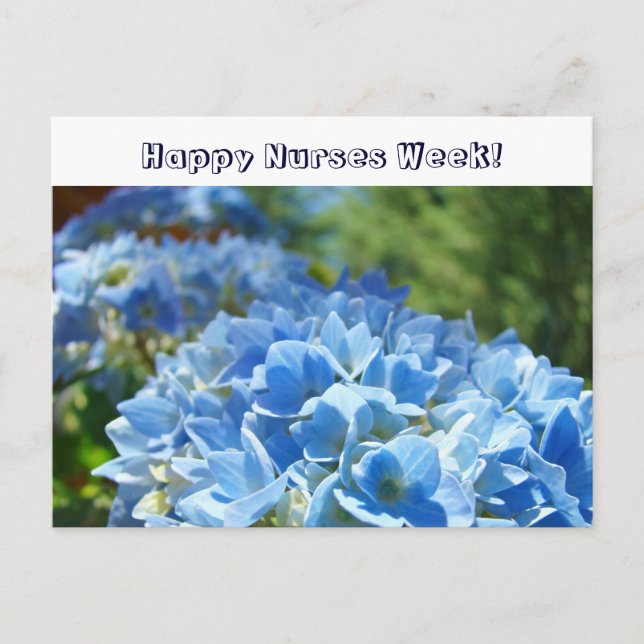 Happy Nurses Week! postcards Blue Hydrangeas (Front)