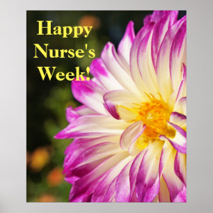 Happy Nurses Week! posters prints Nurse RN
