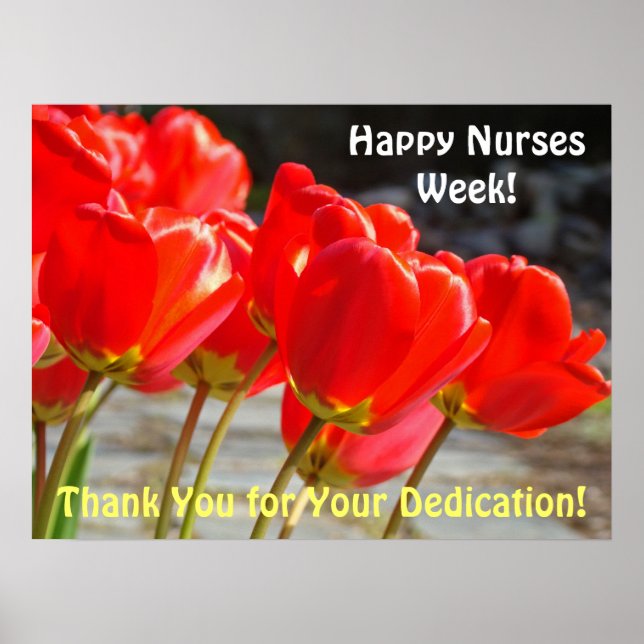 Happy Nurses Week posters Red Tulips Thank You (Front)