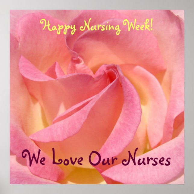 Happy Nursing Week! posters Pink Rose flower Love (Front)