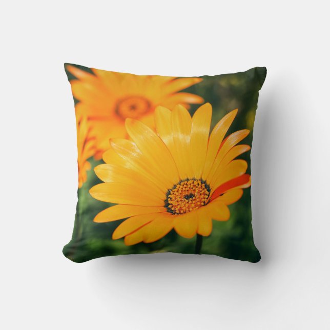 Happy Orange Daisy Flowers Cushion Throw Pillow (Front)